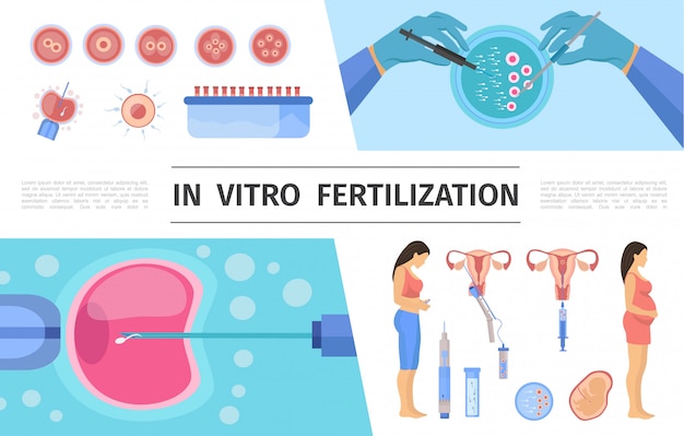 Ensemble D L Ments De F Condation In Vitro Plat Avec Pr Paration De Sperme De Femme Enceinte