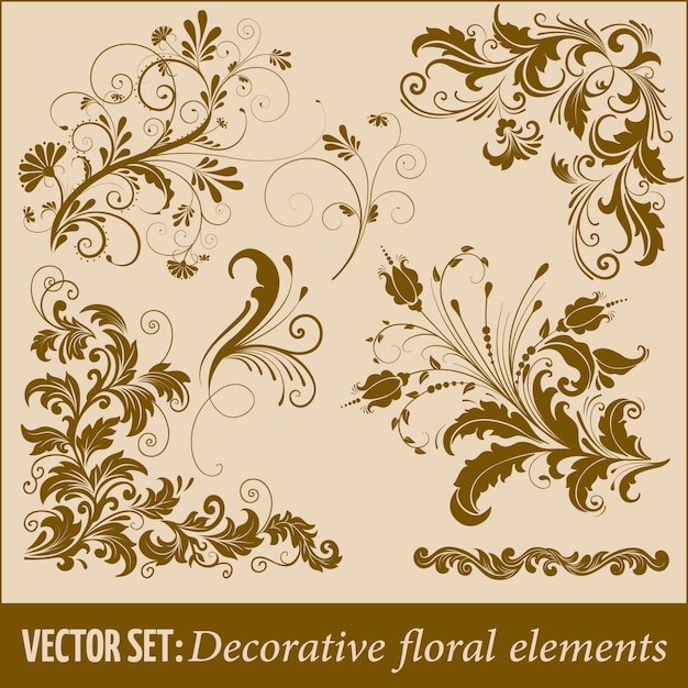 Ensemble d'éléments floraux décoratifs dessinés à la main pour le design. élément de décoration de page. Vecteur gratuit