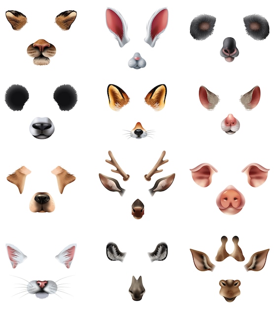 Ensemble De Filtres D Effets D Application De Chat Video De Masques D Animaux Mignons Vecteur Gratuite