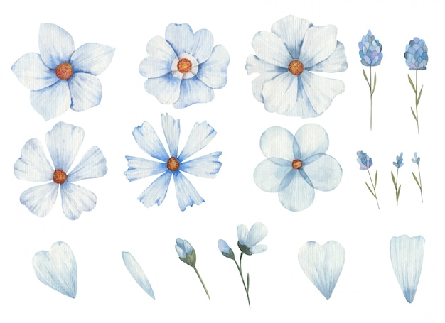 Ensemble De Fleurs Bleues De Differents Types Clipart Illustration Aquarelle Sur Fond Blanc Vecteur Premium