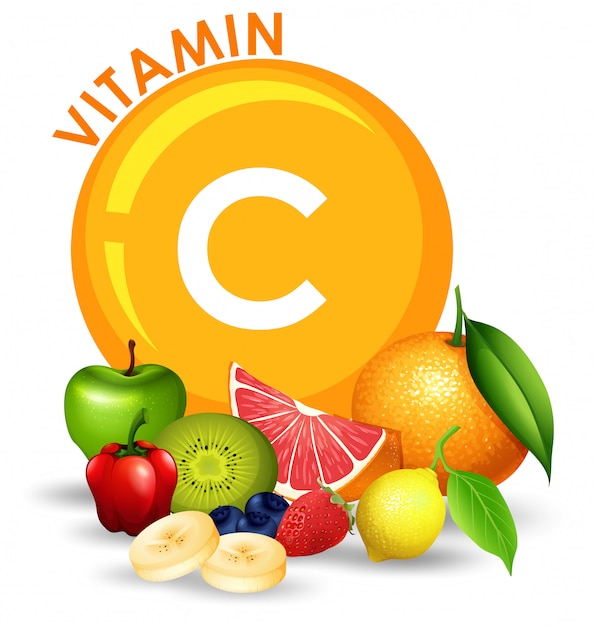 Un Ensemble De Fruits Riches En Vitamine C Vecteur Premium
