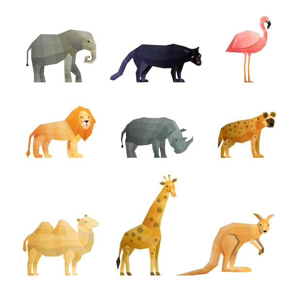 Ensemble d'icônes polygonales animaux sauvages du sud Vecteur gratuit