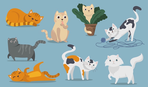 Ensemble D Objets Plats Ludiques De Chats Mignons Dessin Anime Moelleux Chatons Chatons Et Tabbies Assis Jouant Couche Et Dormant Collection D Illustration Vectorielle Isolee Concept D Animaux De Compagnie Et D Animaux Vecteur Gratuite