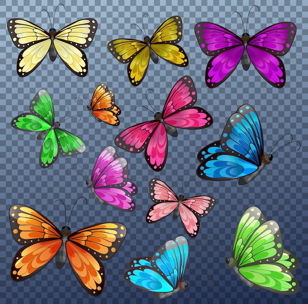 Ensemble De Papillon De Couleur Differente Sur Transparent Vecteur Gratuite