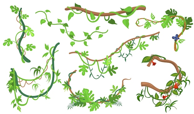 Ensemble Plat De Plantes Colorees Liane Ou Jungle Pour La Conception Web Dessin Anime De Brindilles