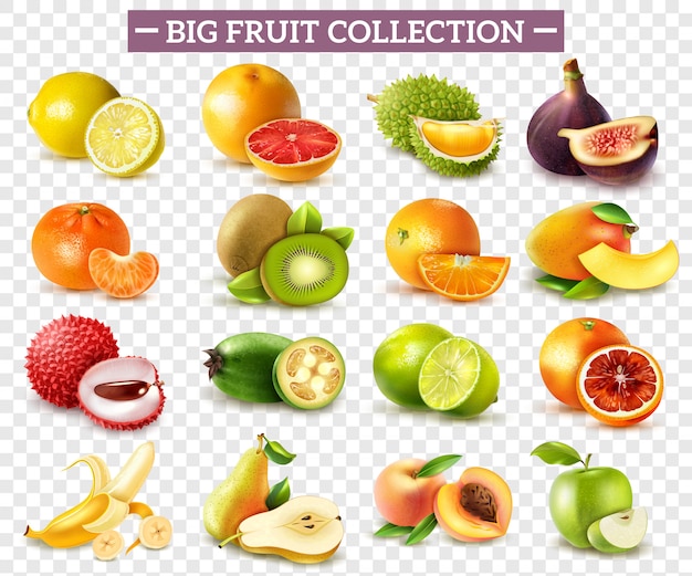 Ensemble Realiste De Divers Types De Fruits Avec Orange Kiwi Poire Citron Lime Apple Isole Sur Transparent Vecteur Gratuite