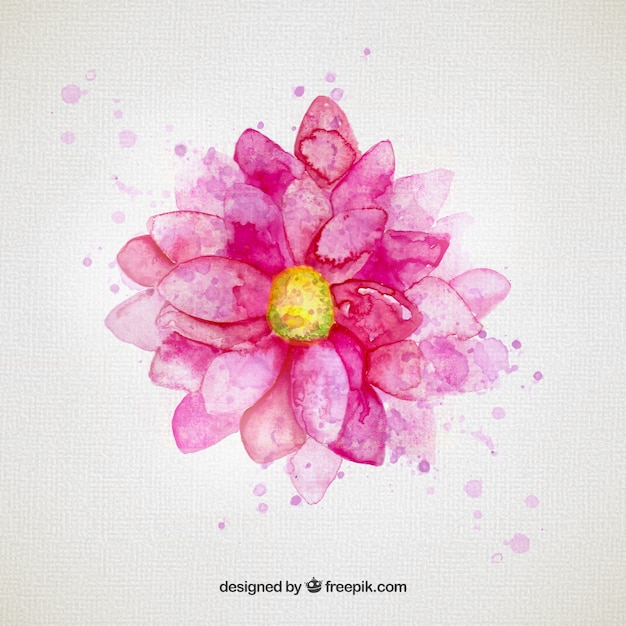  Fleur  D aquarelle Dans Le Ton Rose Vecteur Gratuite