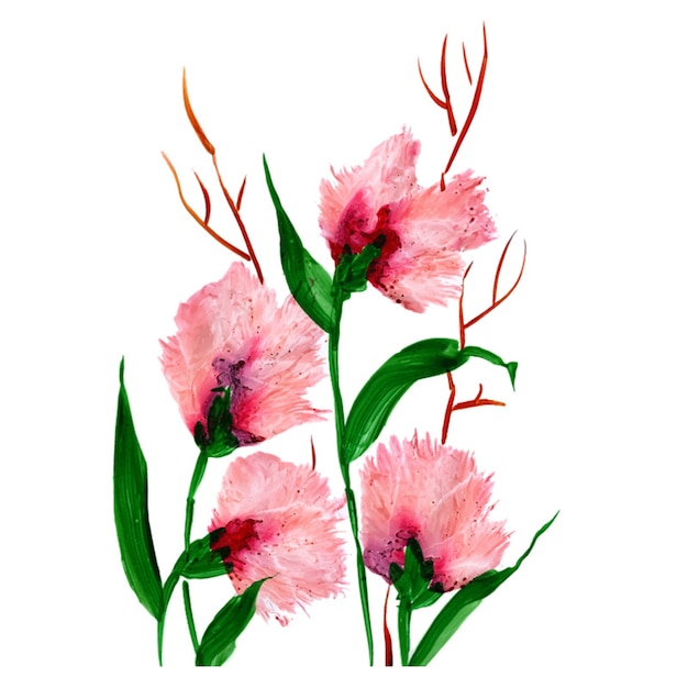 Fleurs  L aquarelle  Vecteur Gratuite