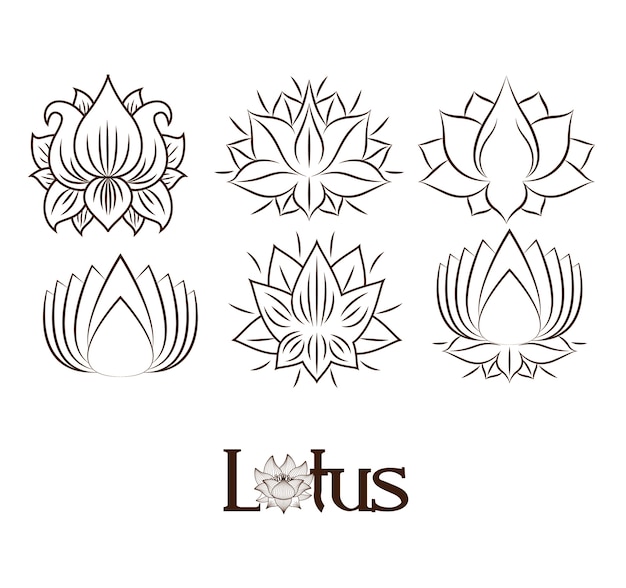 Fleurs De Lotus Dessin Conception Dicônes Isolé