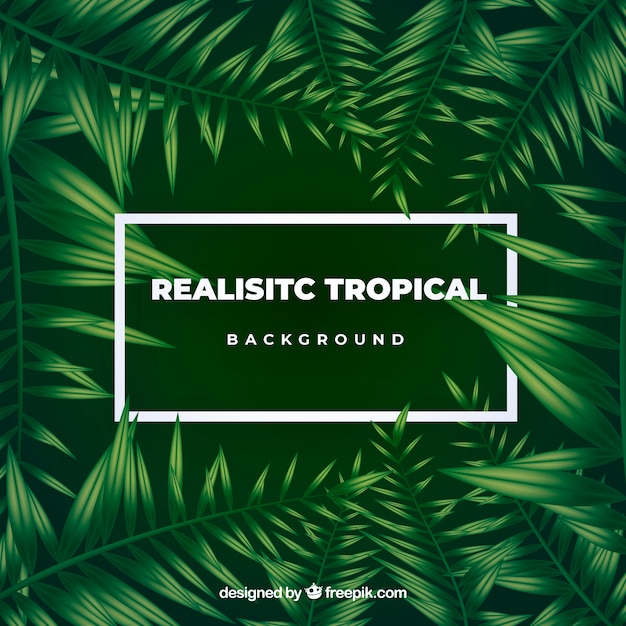 Fond de feuilles tropicales Vecteur gratuit