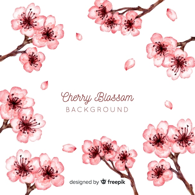 Fond de fleur de cerisier Vecteur gratuit