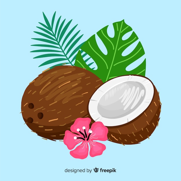 Fond de noix de coco dessiné à la main Vecteur gratuit