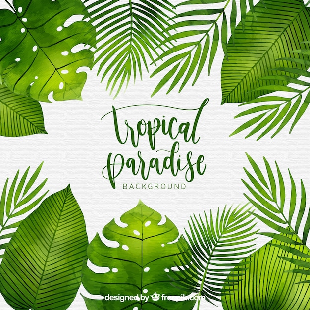 fond tropical avec des plantes aquarelles