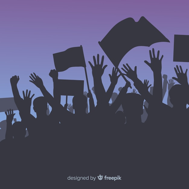demo 24