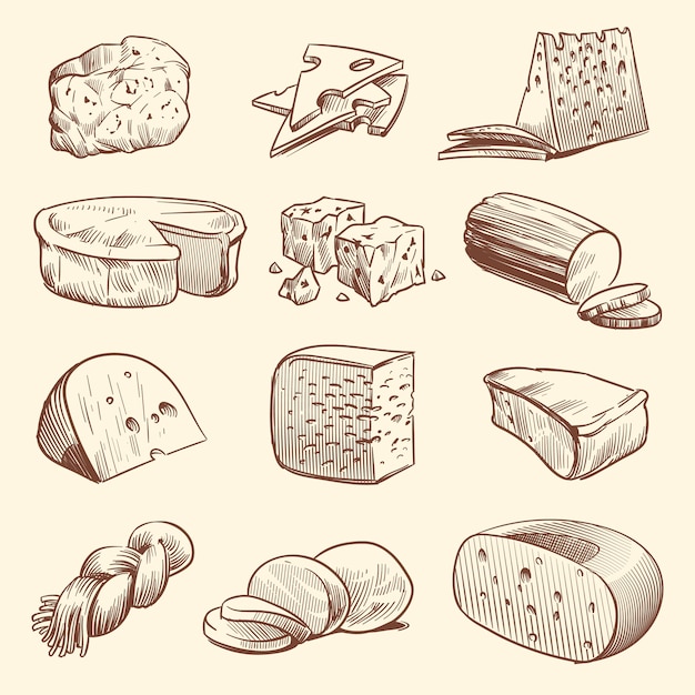 Fromage Dessiné à La Main Différents Types De Fromages Vecteur Premium 