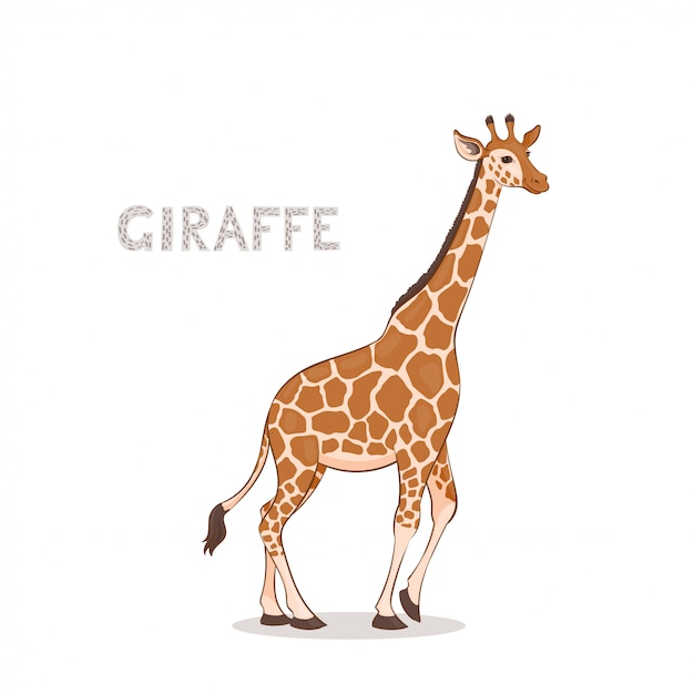 Une Girafe  De Dessin  Anim  Vecteur Premium