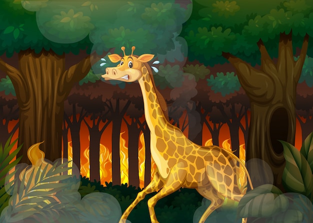 Une girafe fuyant la forêt de feux de forêt Vecteur Premium