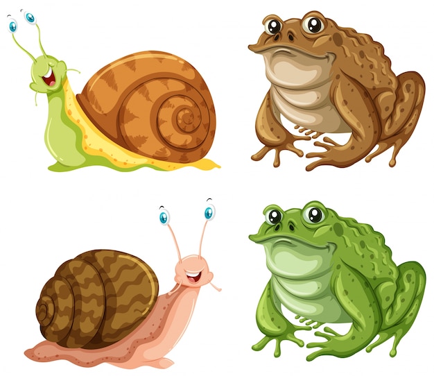 Grenouilles Et Escargots Sur Fond Blanc Illustration | Vecteur Gratuite