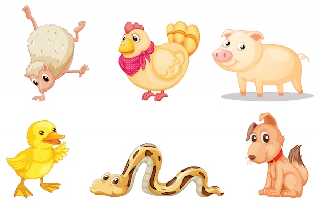 Groupe d'animaux Vecteur gratuit