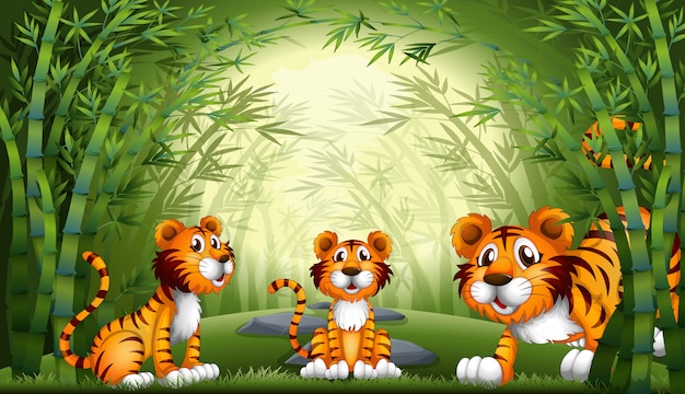 Groupe de tigre à la forêt de bambous Vecteur Premium