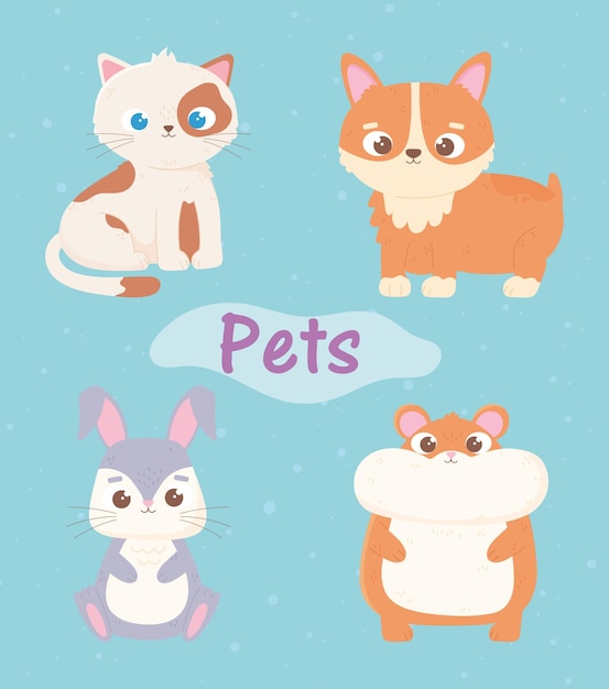 Illustration D Animaux De Dessin Anime Mignon Chat Chien Hamster Et Lapin Vecteur Premium