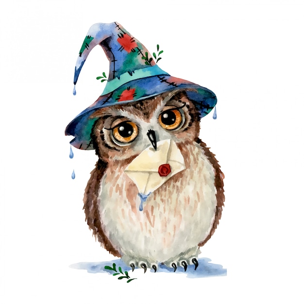 Illustration Aquarelle D'un Hibou Magique De Dessin Animé ...