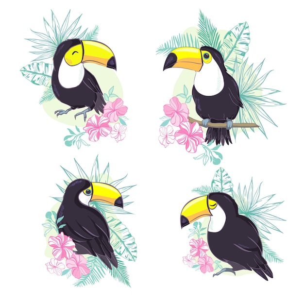 Une illustration d'un beau toucan en format vectoriel. une image mignonne d'oiseau toucan pour l'éducation et l'amusement des enfants dans les crèches et les écoles, et à des fins de décoration. collection d'animaux de la jungle Vecteur Premium