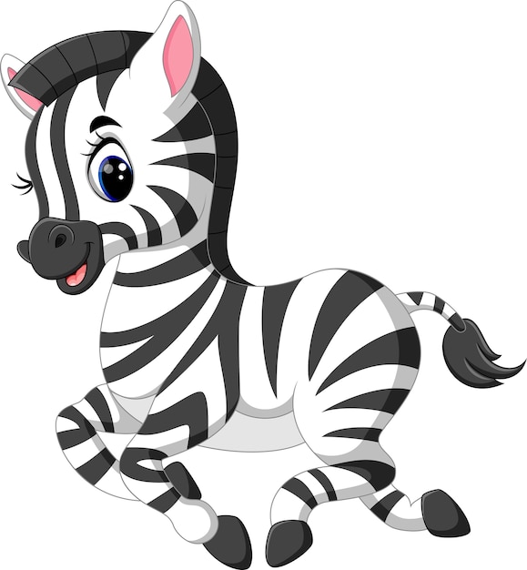 Illustration De Bebe Mignon Zebre Vecteur Premium