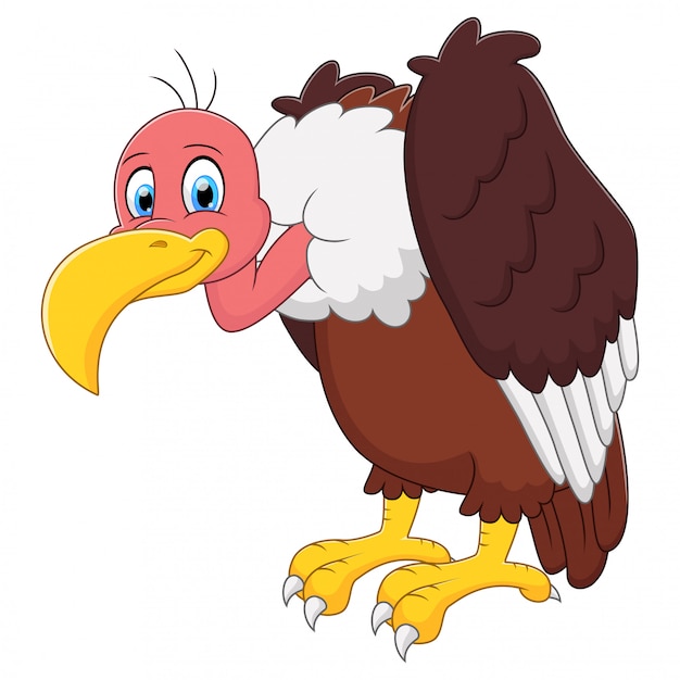 Illustration De Dessin Animé Mignon De Vautour | Vecteur Premium