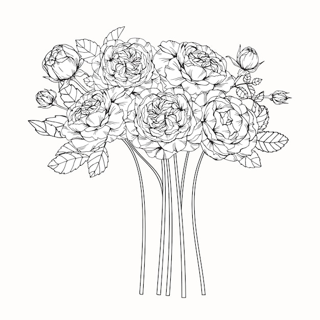 Illustration De Dessin De Fleur Rose Télécharger Des