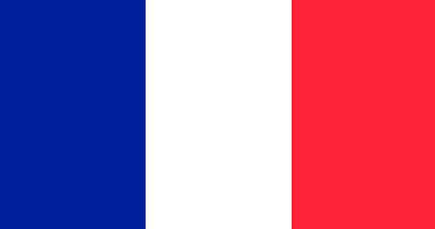 Illustration du drapeau de la france Vecteur gratuit