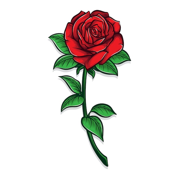 Illustration De Fleur Rose Rouge Vecteur Premium 