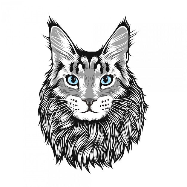 Illustration De Gros Chat Maine Coon Vecteur Premium