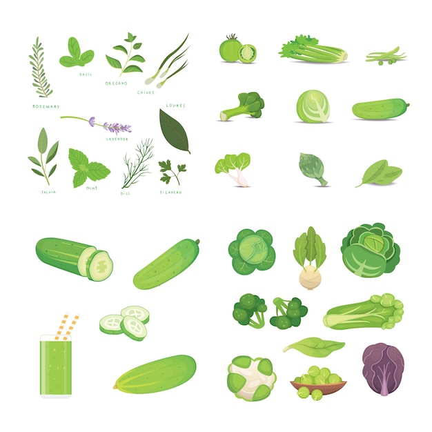 Illustrations De Legumes Verts Et Herbes Vecteur Premium