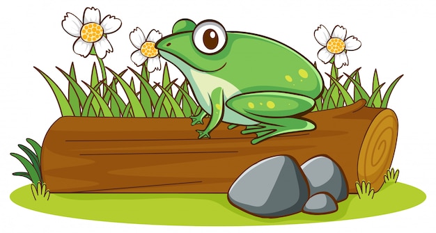 Image Isolee De Grenouille Sur Journal Vecteur Gratuite