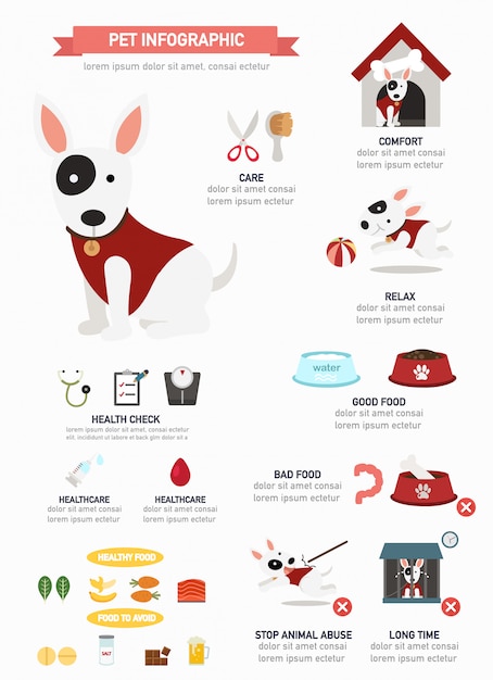 Infographie de chien, affiche informative prête à imprimer Vecteur Premium