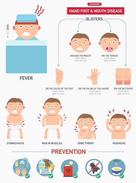 Infographie De La Maladie Main-pied-bouche | Vecteur Premium