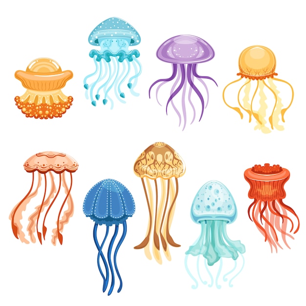 Jeu De Meduses Colorees Natation Creatures Marines Aquarelle Illustrations Sur Fond Blanc Vecteur Premium