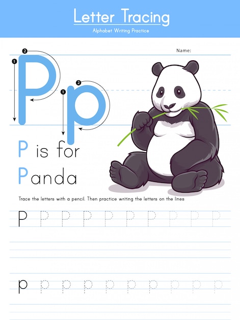 lettre-p-tra-ant-l-alphabet-animal-p-pour-panda-vecteur-premium