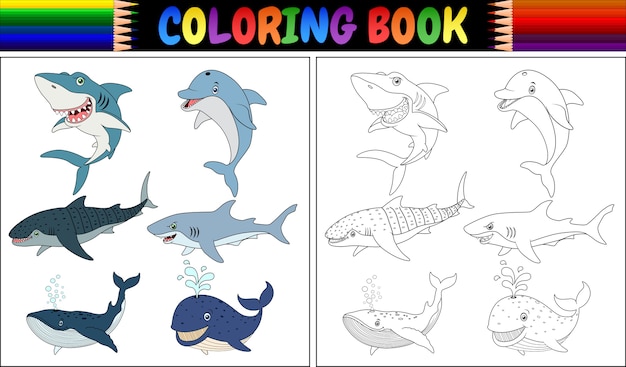 Livre De Coloriage Avec Collection Danimaux Marins