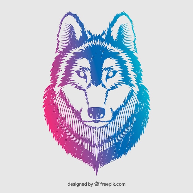 Loup Colore Au Style Grunge Vecteur Gratuite