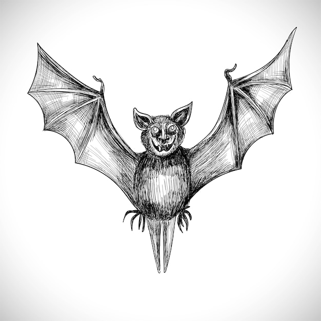 Main Dessiner La Conception De Croquis De Chauve Souris Vecteur Gratuite