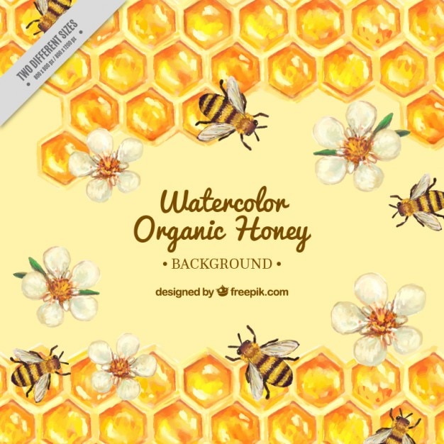 Main ruche peint avec des fleurs et des abeilles fond Vecteur gratuit