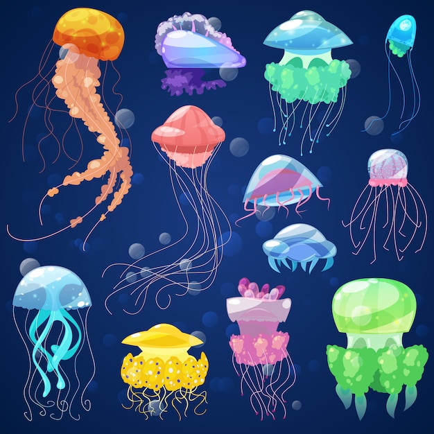 Meduse Vecteur Meduses Oceaniques Et Ortie Sous Marine Ensemble D Illustration De Meduse Rougeoyante Gelee Ou Poisson En Mer Isole Sur Fond Vecteur Premium