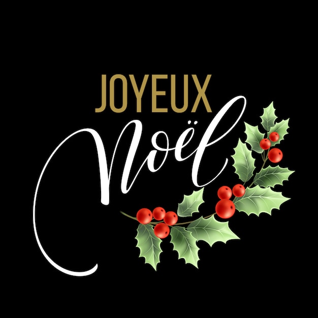 How To Say Merry Christmas In French Language