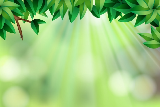 Modèle De Fond Avec Des Feuilles Et Feu Vert Télécharger