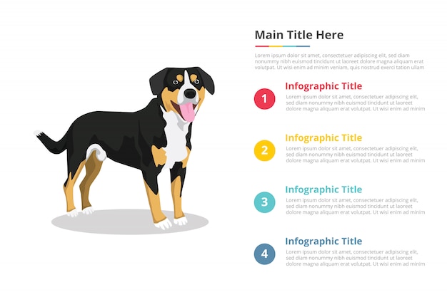 Modèle d'infographie de chien Vecteur Premium