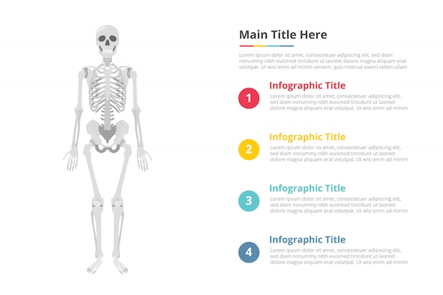 Modèle d'infographie crâne humain avec espace libre de texte de différentes couleurs et description Vecteur Premium