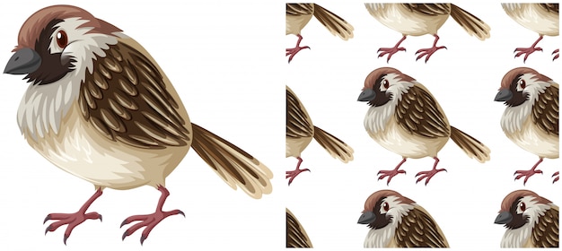 Modèle sans couture d'oiseau isolé sur blanc Vecteur gratuit