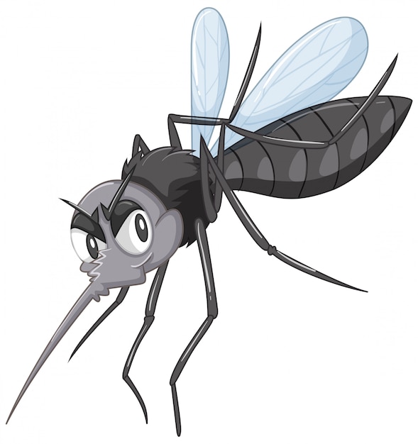 Moustique sauvage noir Vecteur gratuit